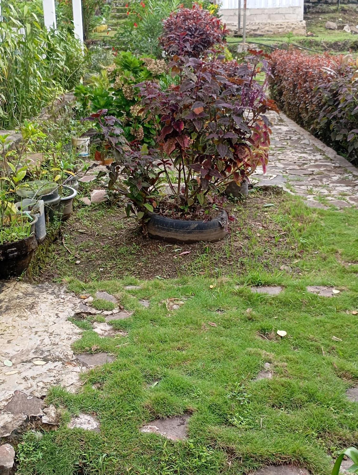 Hidayah homestay Kelimutu Luaran gambar